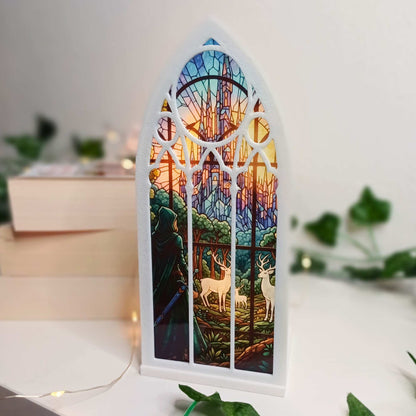 Assassinin leuchtendes Booknook