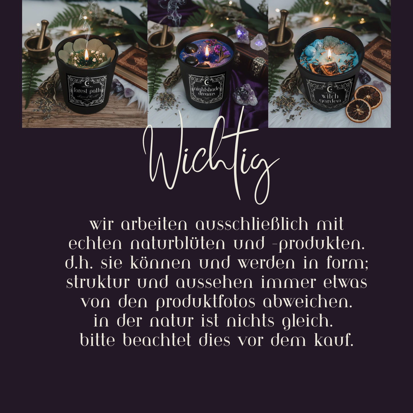 Witch Garden - Midnight collection