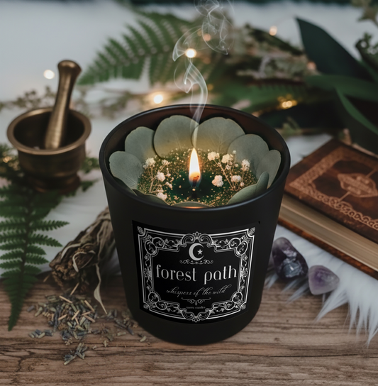 Forest Path - Midnight collection