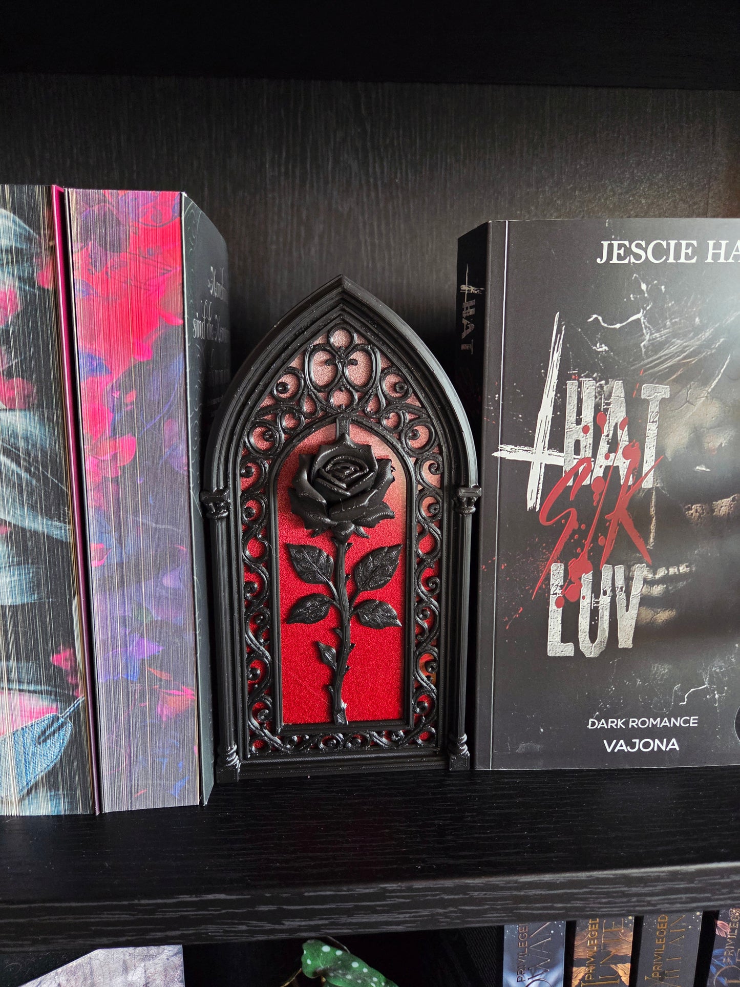 Rose Dark Romance Regalfenster Midnight collection